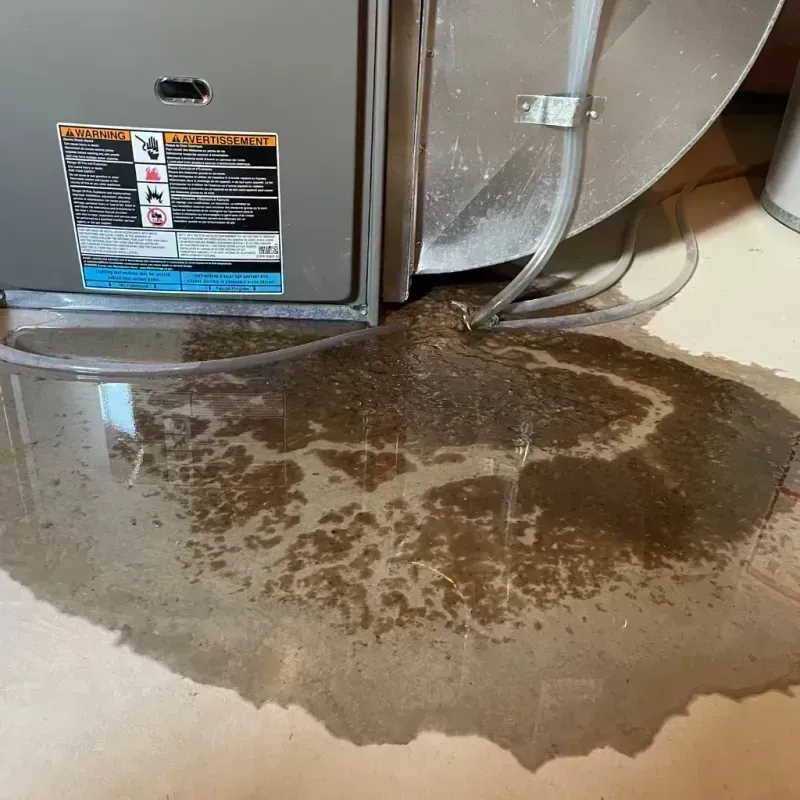 Appliance Leak Cleanup in Harrison County, MS